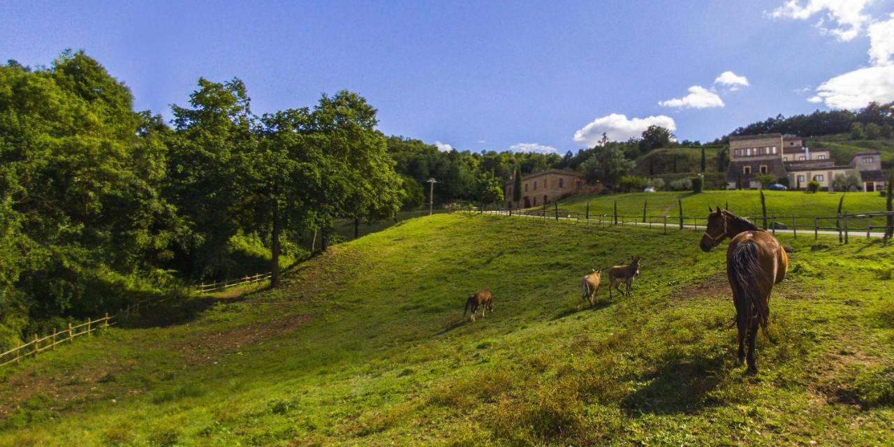 Agriturismo Rio Coverino Borghetto  Экстерьер фото